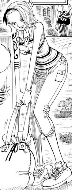 File:Nojiko Manga Pre Timeskip Infobox.png