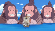 Sea Monkeys.png
