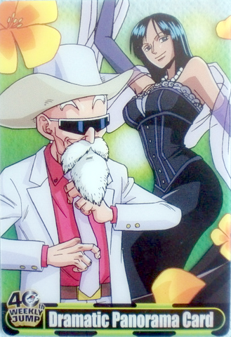 File:Roshi Robin Carddass.png