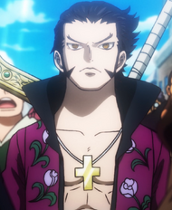 Dracule Mihawk at Age 19