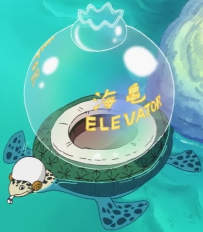 File:Sea Turtle Elevator.png