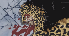 Lucci KO.png