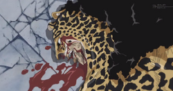 Lucci KO.png