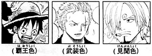 SBS71 2 Straw Hats Haki Users