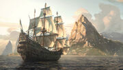 Jackdaw-2