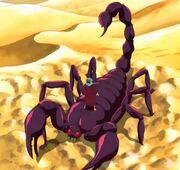 Skorpion-Frucht.jpg