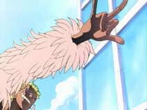 Fern1.jpg