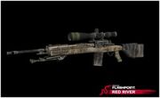 DMR