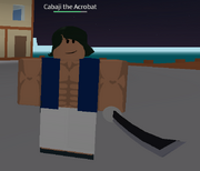 Acrobat
