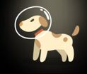 Space Dog