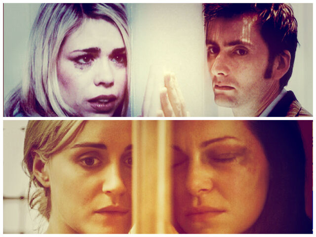 File:The feels 2.jpg