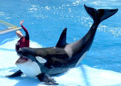 Category:Unna's Gallery | Orca Pod Wiki | Fandom powered by Wikia