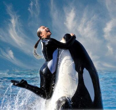 Seaworld2