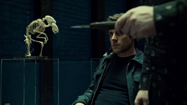 File:OrphanBlackS01E07-2189.jpg