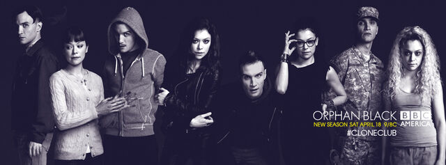 File:Orphanblackseason3.jpg