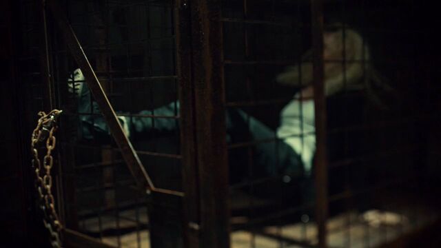 File:OrphanBlackS01E091162.jpg