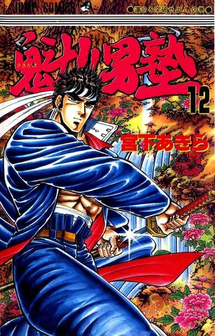 File:Volume 12.jpg