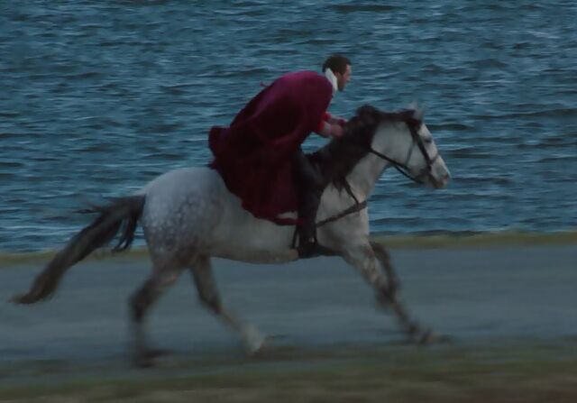 File:1x01 Horse.jpg