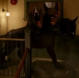 Cerberus