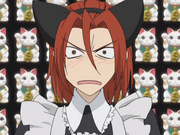 Maidneko