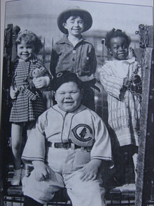 Paul dominick