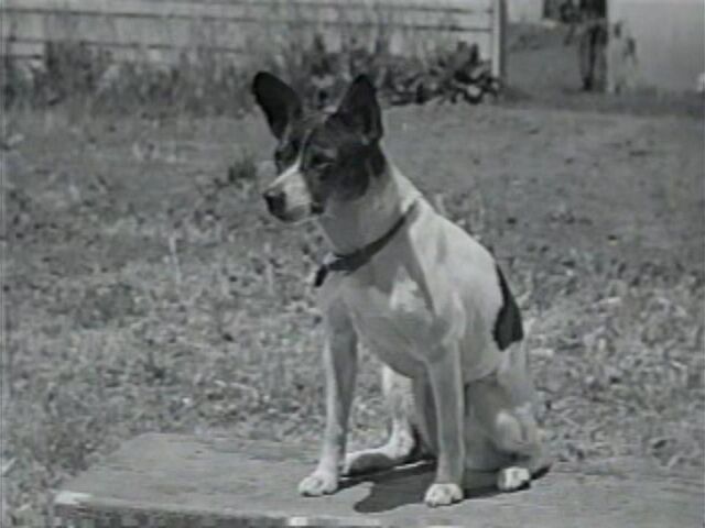File:Rover.jpg