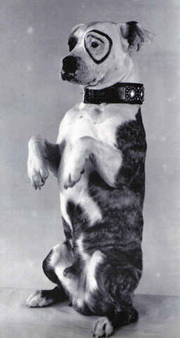 File:Pete.jpg