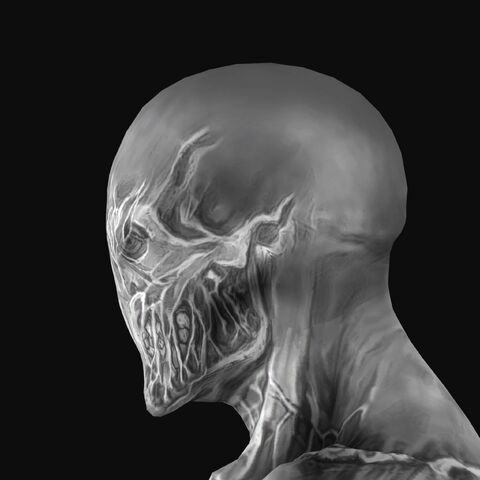 File:WalriderFaceSide.jpeg
