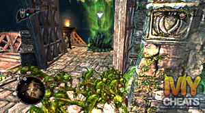 Green Hive