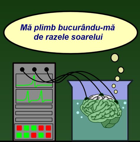 Fișier:Brain in a vat (ro) v2.png