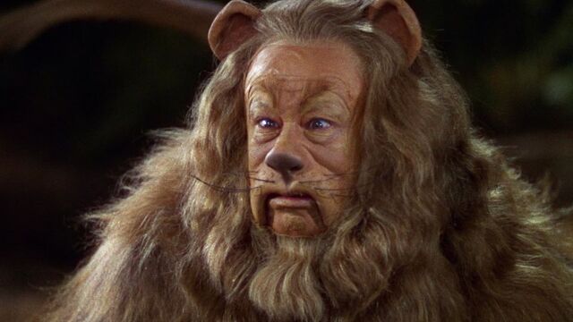 File:The Lion.jpg