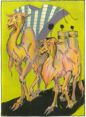 File:Camel and dromedary.jpg