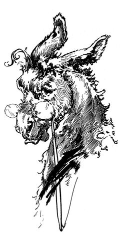 File:Donkey.jpg