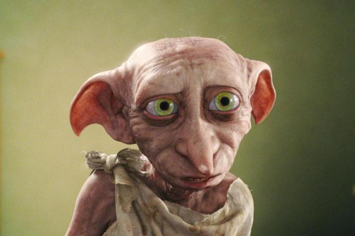 Image result for dobby