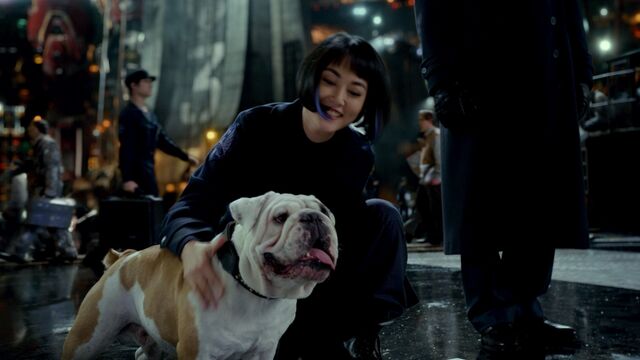 File:Pr-mako&max.jpg
