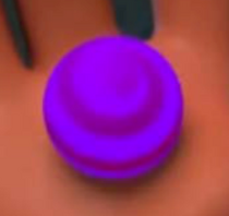 Balloon Berry