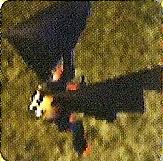 Bat
