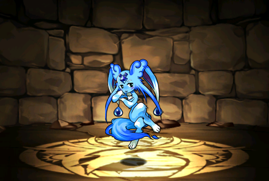 Pet049