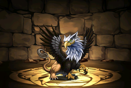 Pet402