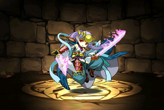 Pet141