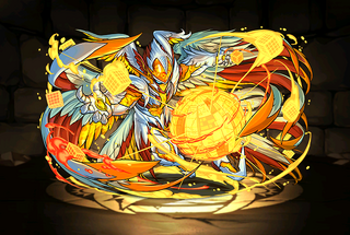 Pet2501