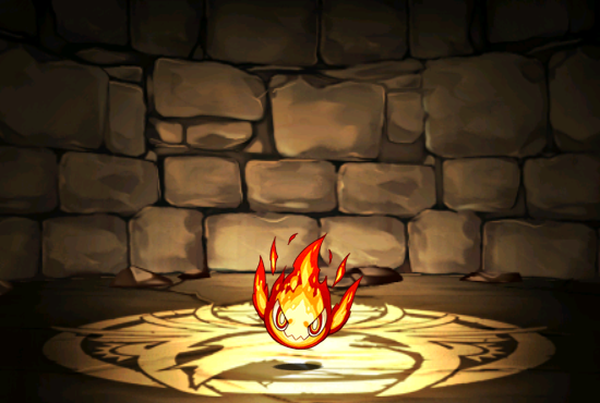 Pet579