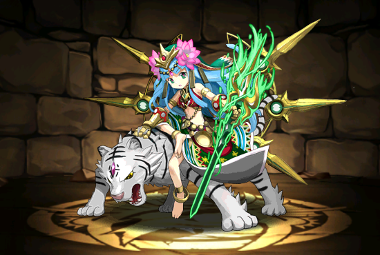 Pet241