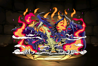 Pet993