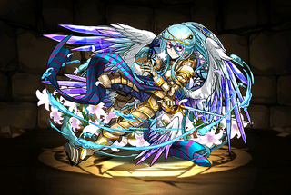 Pet2499