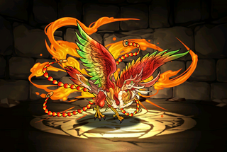 Pet1210.png
