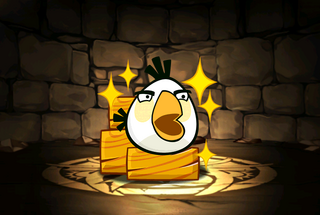 Pet957.png
