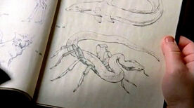 Boceto serpiente-araña.jpg