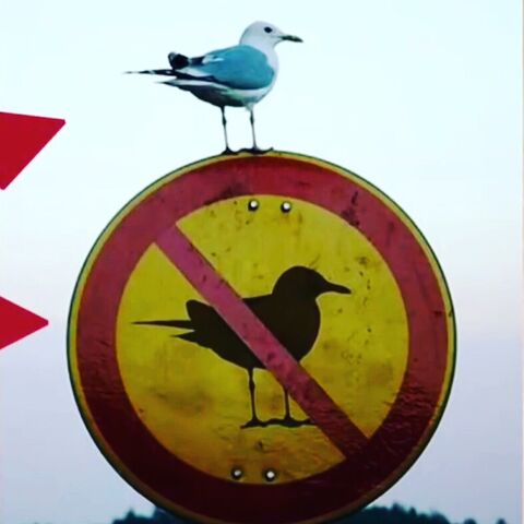 File:😑.jpg