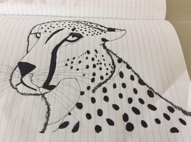 File:Cheetah.jpg